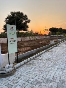 Kedia parwati meadows Plot View 3