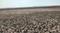 Sarde Plot View 2