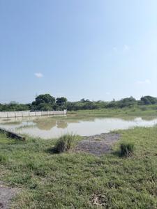 Image of 2000 Sq.ft Residential Plot / Land for sale in Mohanlalganj, Lucknow for Rs. 3000000