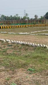 Orchard green Plot View 3