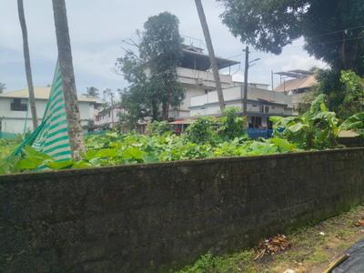 Keralarealty Plot View 3