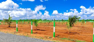 Image of 9600 Sq.ft Residential Plot / Land for sale in Chengalpattu, Chennai for Rs. 2400000