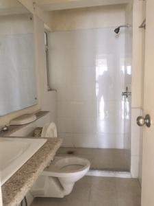 Common Bathroom Image of 1650 Sq.ft 3 BHK Apartment / Flat for rent in DLF Capital Greens, Karampura New Delhi for Rs. 55000