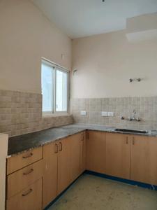 Kitchen Image of 755 Sq.ft 2 BHK Apartment / Flat for rent in Amrapali Dream Valley 2, Noida Extension Greater Noida for Rs. 14000