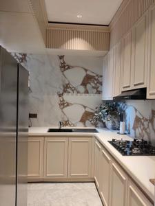 Kitchen Image of 1750 Sq.ft 3 BHK Builder Floor for sale in Paras Floret, Sector 59 Gurgaon for Rs. 34100000