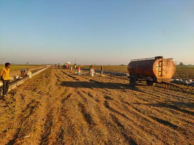 Image of 1170 Sq.ft Residential Plot / Land for sale in Dholera, Ahmedabad for Rs. 1263600
