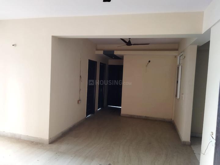 Exotica Elegance Main Image 1