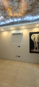 Hall Image of 2800 Sq.ft 4 BHK Builder Floor for sale in Sector 23A Gurgaon for Rs. 35000000