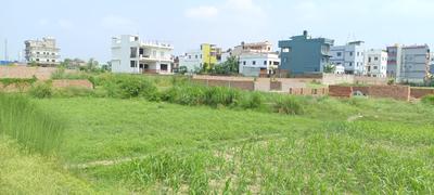 New Apna Vihar Plot View 2