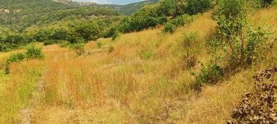 Image of 11000 Sq.ft Residential Plot / Land for sale in Varve Khurd, Pune for Rs. 2100000