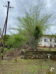 Image of 2368 Sq.ft Residential Plot / Land for sale in Cherivali, Navi Mumbai for Rs. 1892000