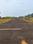 SHYAM AVENUE Plot View 2