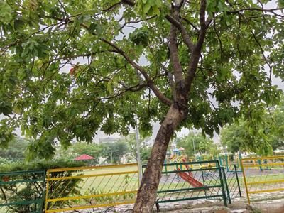 Image of 4500 Sq.ft Residential Plot / Land for sale in Mullanpur Garibdass, Chandigarh for Rs. 77000000