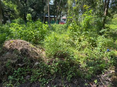 Image of 2177 Sq.ft Residential Plot / Land for sale in Panangad, Kochi for Rs. 3000000