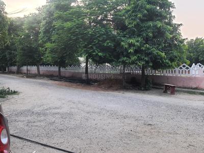 Block O Plot View 3