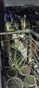 Balcony Image of 1105 Sq.ft 2 BHK Apartment / Flat for sale in Varni Enterprise Kailash Residency 2, Karadva Gam Surat for Rs. 3000000