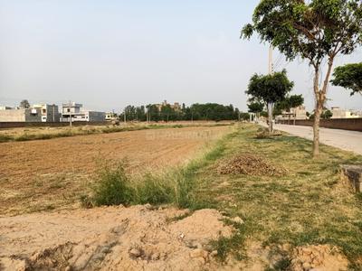 Image of 1800 Sq.ft Residential Plot / Land for sale in Royal Plaza, Kurali, Mohali for Rs. 10000000