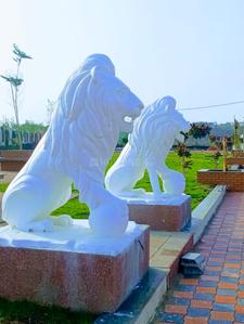 Image of 560 Sq.ft Residential Plot / Land for sale in Kothari Tanishq Corridor Phase I, Panchderiya, Indore for Rs. 2350000