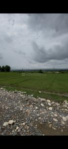 Image of 166 Sq.ft Residential Plot / Land for sale in Rampur, Dehradun for Rs. 3652000
