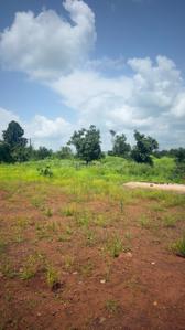 Image of 696960 Sq.ft Residential Plot / Land for sale in Potgaon, Thane for Rs. 256000000