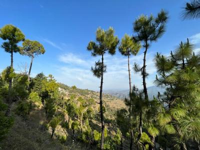 Image of 1550 Sq.ft 2 BHK Villa for sale in Vimoksha Valley III, Majkhali, Ranikhet for Rs. 12500000
