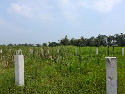 Image of 720 Sq.ft Residential Plot / Land for sale in Nest Valley, Joka, Kolkata for Rs. 231453