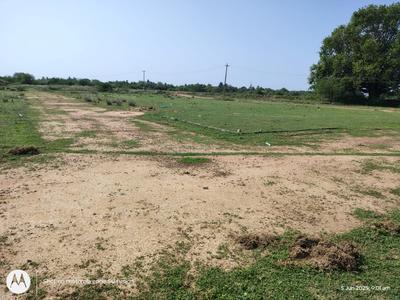 Residential Plot