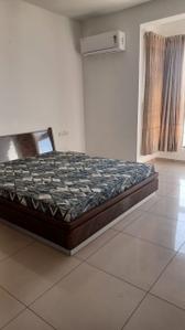 Bedroom Image of 1800 Sq.ft 3 BHK Apartment / Flat for rent in Vallabh Vidhyanagar Anand for Rs. 25000