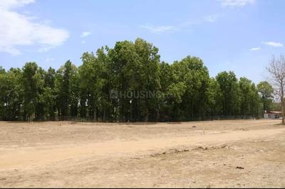 Pondha Plot View 2