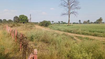 Image of 62000 Sq.ft Residential Plot / Land for sale in Bhedaghat, Jabalpur for Rs. 18000000