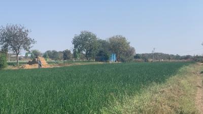 Image of 69696 Sq.ft Residential Plot / Land for sale in Shankarpally, Hyderabad for Rs. 37500000