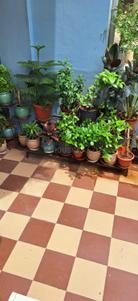 Image of 3000 Sq.ft 6 BHK Independent House for sale in Jagatpura, Jaipur for Rs. 16500000