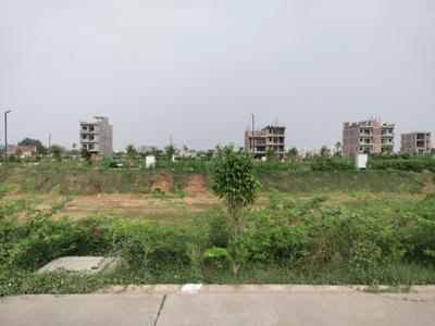Amolik Aster Woods Plot View 1