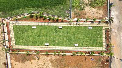 Residential Plot