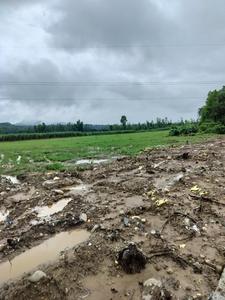 Herbertpur Plot View 2