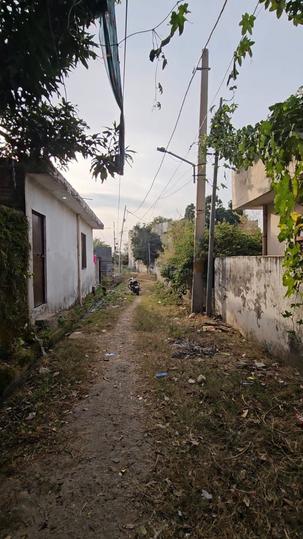 Nardani Bajwan More Images 1