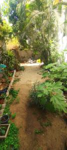 Image of 2117 Sq.ft 3 BHK Duplex for sale in Tarsali, Vadodara for Rs. 9700000