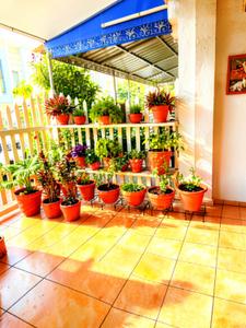 Image of 1700 Sq.ft 4.5 BHK Duplex for sale in Katara Hills, Bhopal for Rs. 15000000
