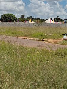 Image of 12000 Sq.ft Residential Plot / Land for sale in Panaiyur, Sholinganallur, Chennai for Rs. 154992000