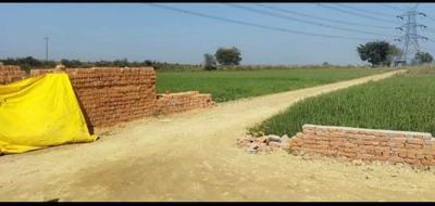 Image of 1000 Sq.ft Residential Plot / Land for sale in Maniram, Gorakhpur for Rs. 499000
