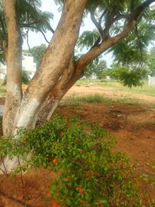 Image of 4000 Sq.ft Residential Plot / Land for sale in Century Artizan, Yelahanka, Bengaluru for Rs. 65000000