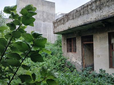 Sector 9 Plot View 1