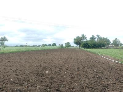 Residential Plot