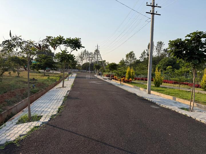 Yelwala Main Image 1