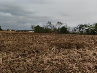 Residential Plot