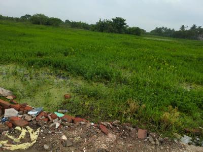 Residential Plot