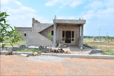 TMR Golden Habitat Plot View 3