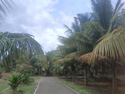 Image of 370260 Sq.ft 1 RK Farm House for sale in Madampatti, Coimbatore for Rs. 45000000