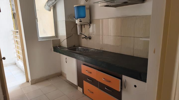 Paras Tierea Main Image 1