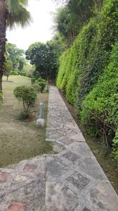 Image of 3000 Sq.ft 3 BHK Farm House for sale in DPL Nature Retreat, Tech Zone, Greater Noida for Rs. 7500000